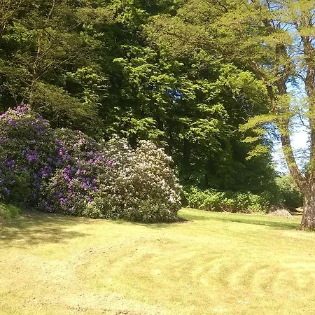 Bed & Breakfast Moselundgaard B/b Og Hestehotel Engesvang