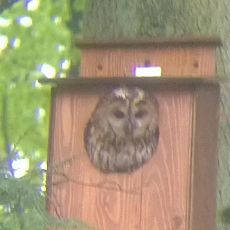 Moselundgaard B/b Og Hestehotel