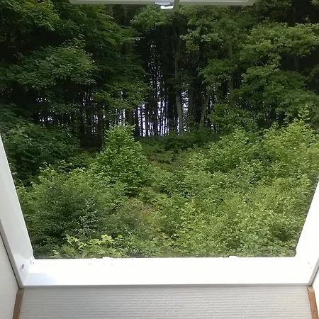 Moselundgaard B/b Og Hestehotel Engesvang